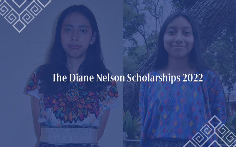 The Diane Nelson Scholarships 2022